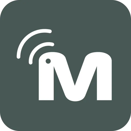 Merkury Smart