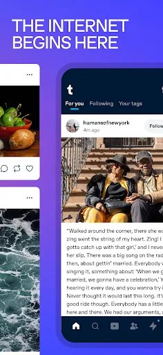 Tumblr Social Media & Art Blog screenshot