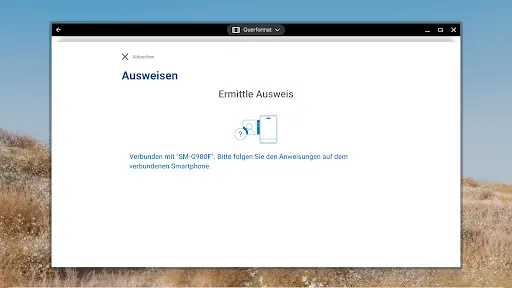 AusweisApp Bund screenshot