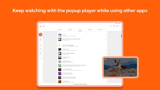 VLC for Android screenshot