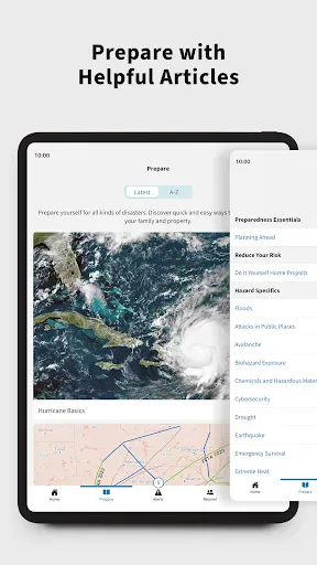 FEMA screenshot