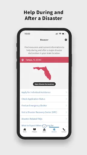 FEMA screenshot