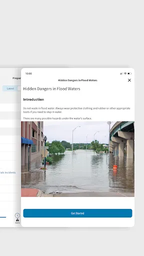 FEMA screenshot