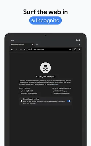 Google Chrome screenshot
