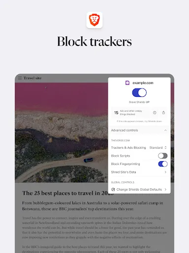 Brave Private Web Browser, VPN screenshot
