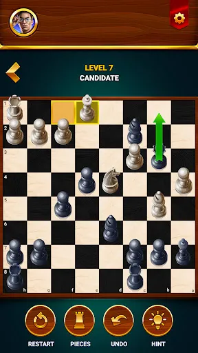 Chess - Offline Board Game screenshot