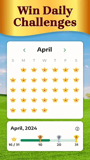 Solitaire for Seniors Game screenshot