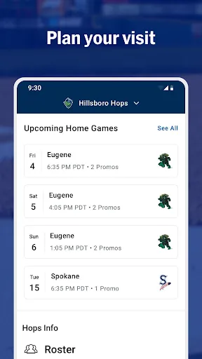 MiLB screenshot