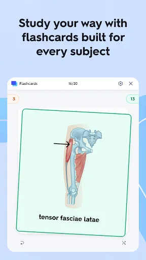 Quizlet: More than Flashcards screenshot