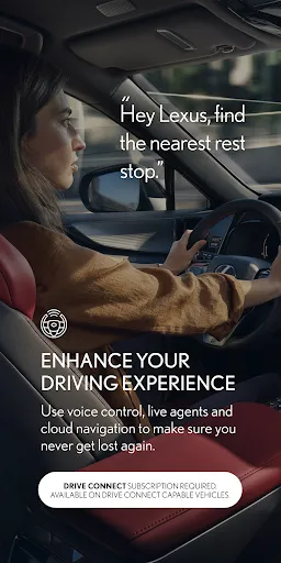 Lexus screenshot