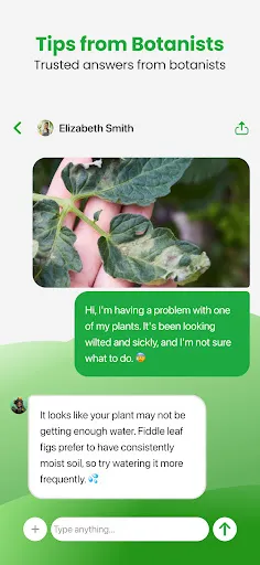 Plant App - Plant Identifier screenshot