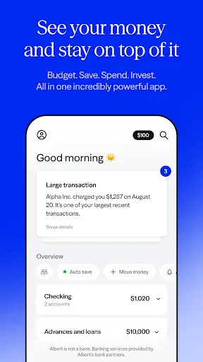 Albert: Budgeting and Banking screenshot