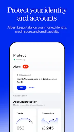 Albert: Budgeting and Banking screenshot