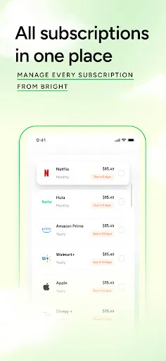 Bright: Loans & Credit Builder screenshot