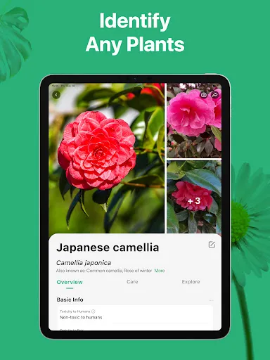 PictureThis - Plant Identifier screenshot