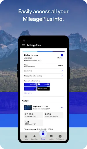 United Airlines screenshot
