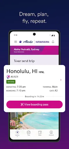 Alaska Hawaiian screenshot