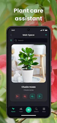 PlantIn Plant Identifier, Care screenshot