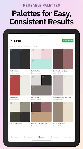 Repaint House Paint Visualizer screenshot