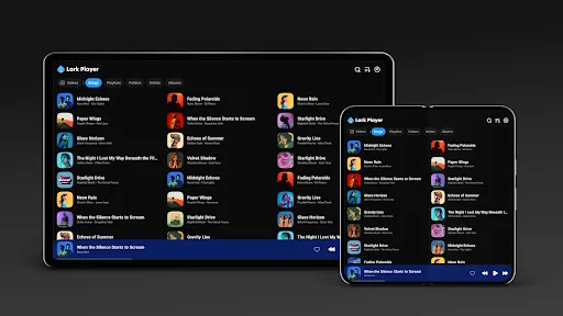 Lark Player:Music Player & MP3 screenshot