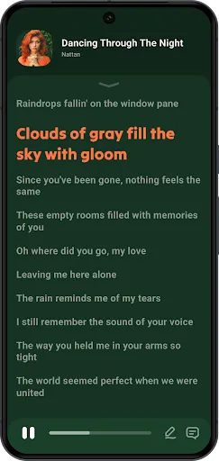 Lark Player:Music Player & MP3 screenshot