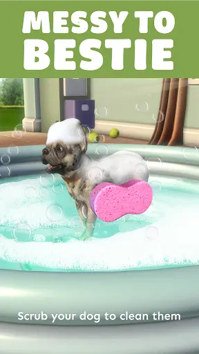 Pocket Paws: My lovely dogs screenshot