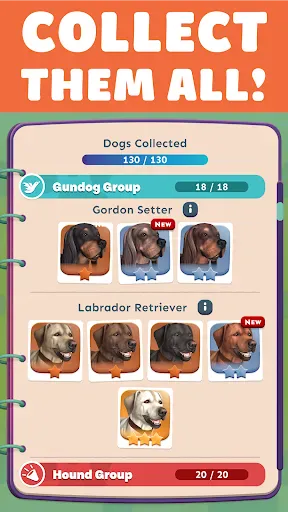 Pocket Paws: My lovely dogs screenshot