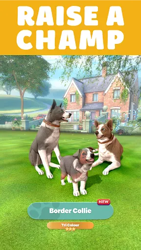 Pocket Paws: My lovely dogs screenshot
