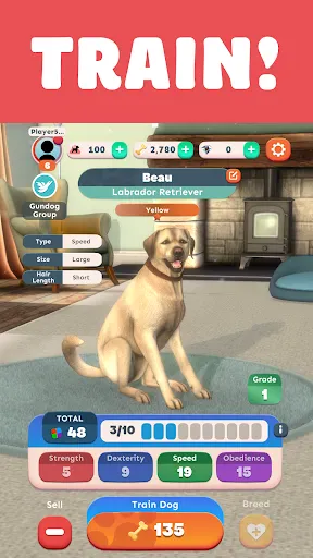 Pocket Paws: My lovely dogs screenshot