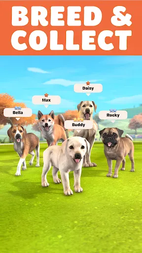 Pocket Paws: My lovely dogs screenshot