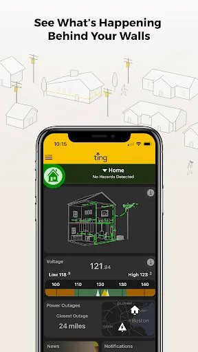 Ting screenshot
