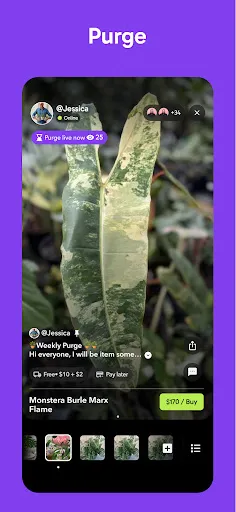 Palmstreet: Buy & Sell LIVE screenshot