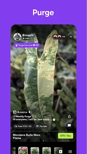 Palmstreet: Buy & Sell LIVE screenshot