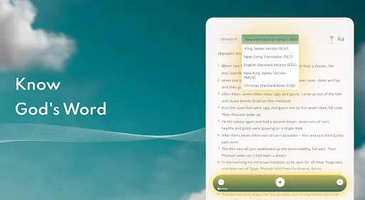 Bible Chat: Holy Bible Study screenshot