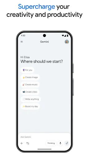 Google Gemini screenshot