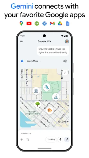 Google Gemini screenshot