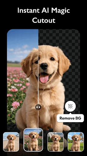 AI Photo Editor - Polish screenshot