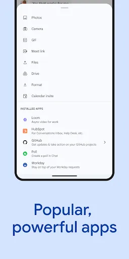 Google Chat screenshot